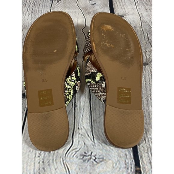 Madewell Skyler Slide Sandals Snake Embossed Leather Crossover Gray Green Sz 6.5 - Picture 6 of 8